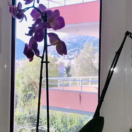 Apartment Le Galet Blanc