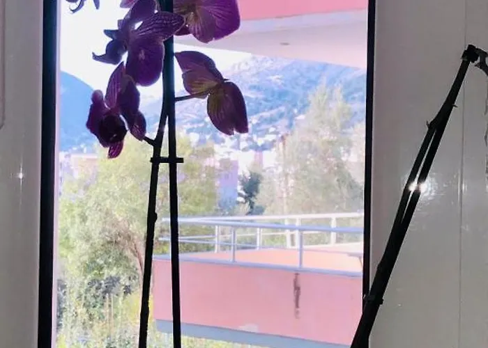 公寓 Le Galet Blanc